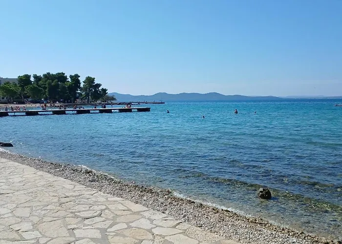 Aurelia * Zadar