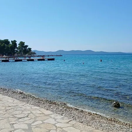 Aurelia * Zadar